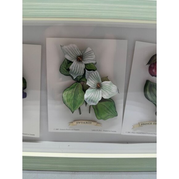 shadow box Framed 3D Botanical Prints Of Provincial Flowers green rectangle READ - Picture 5 of 16